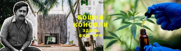 прущие крисы Костерёво
