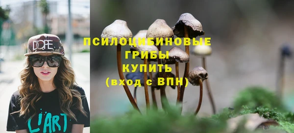 прущая мука Коряжма
