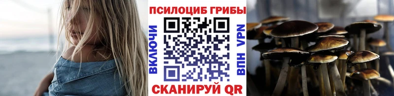магазин Усмань Галлюциногенные грибы MAGIC MUSHROOMS